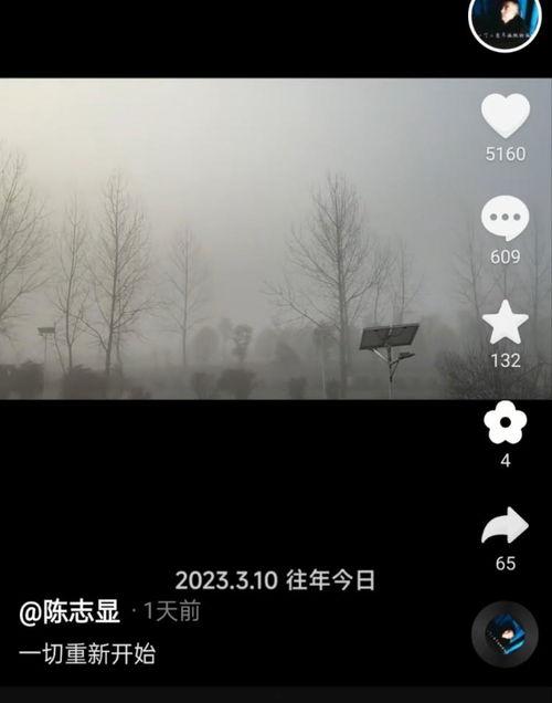 陈志显最新爆料新闻,揭秘事件背后惊人真相  第1张