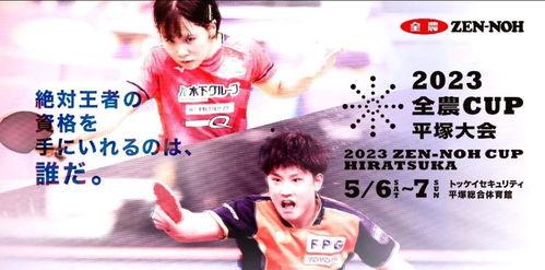 遥真菜在线观看  第2张